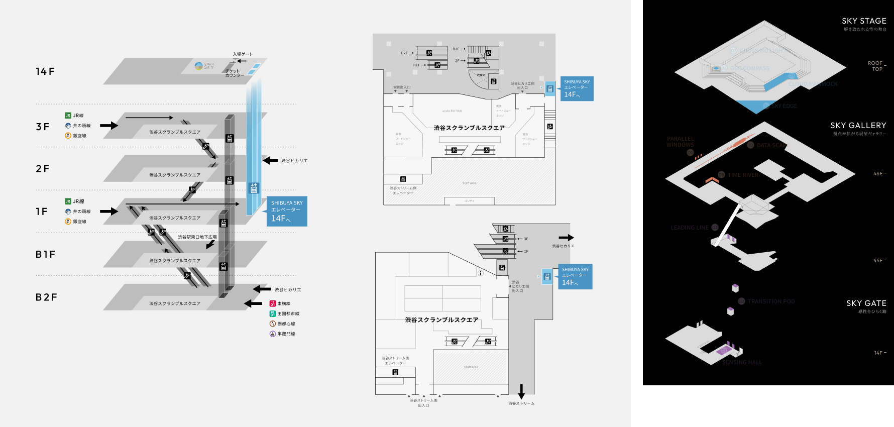 Group-874.png#asset:274